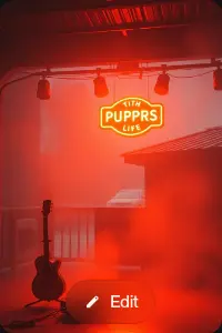 Midnight Bloom (Version 2)